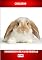 Livro Coelhos