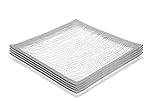 GAC Set of 4 Elegant Tempered Glass Dinner Plates