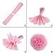Crazy Night 8 Tissue Pom Poms Kit ,Tissue Paper Pom Poms,Tissue Paper Flowers Kit,Pom Poms Craft (Style1)