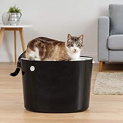 IRIS USA Cat Litter Box, Top Entry Litter Box with