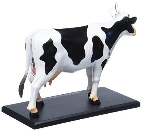 Tedco 4D Vision Cow Model