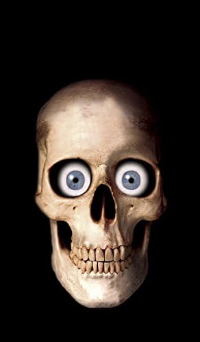 WOWindow Posters Skully Halloween Apparition Window Decoration 34.5"x60" Backlit Poster