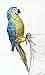 Garden at Home Tropical Decor Macaw Parrot Figurine Pot Hanger, 9