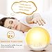 Alarm Clock Wake Up Light,XIRON Light Alarm Clock with Sunrise/Sunset Simulation,Dual Alarms and Snooze Function, 7 Colour Atmosphere Lamp, 7 Natural Sounds and FM Radio for Kids Adults Bedroom