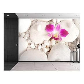 Pink Orchid Over White Rocks - Wall Mural, Removable Sticker, Home Decor - 66x96 inches