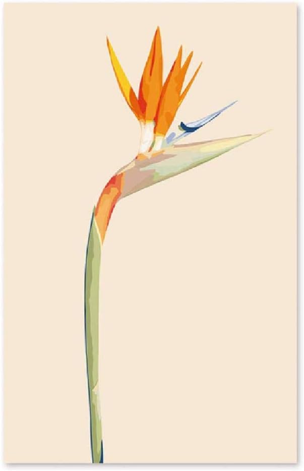 kongjingjing Paint by Numbers Flower Strelitzia with Brushes Paints and Canvas Home Decor Frameless