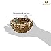 SunGrow Birds Nest for Finch, Canary, Pigeon, Parakeet, Encourages Courtship, Breeding, and Nesting