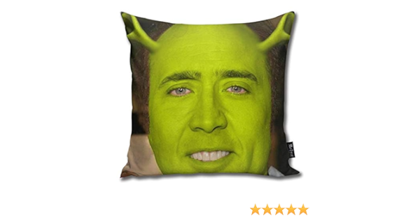 shrek sequin pillow