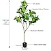 CROSOFMI Upgrade Artificial Fiddle Leaf Fig Tree Plant 5.2Feet Fake Ficus Lyrata with 69 Leaves Faux Fig Tree