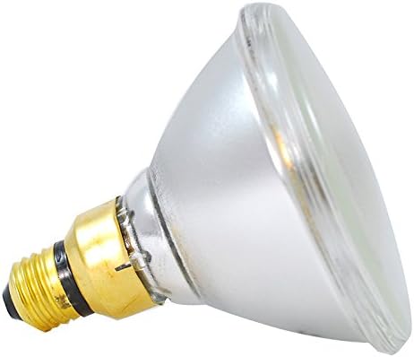 120W 120V PAR38 Spot Bulb