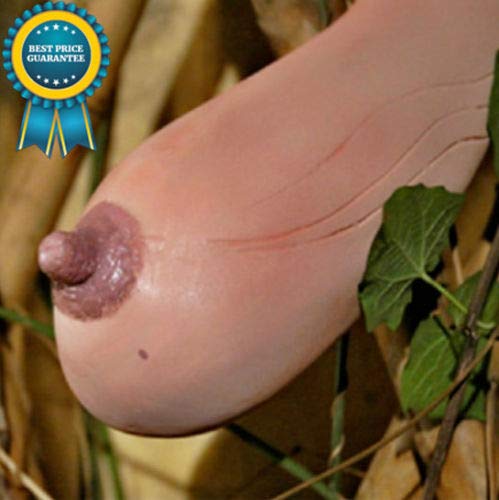 100pcs Pack Vietnam Milk Melon Seeds Vegetables Fruit Seeds Exotic Bonsai Plants