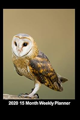 Plan On It 2020 Weekly Calendar Planner Hoot Hoot Said The Barn