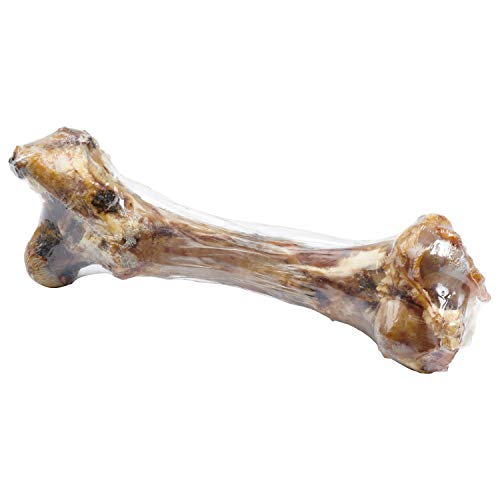 digestible dog bones