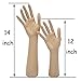 BHD BEAUTY Mannequin Hand Display Jewelry Bracelet Necklace Ring Glove Stand Holder 14