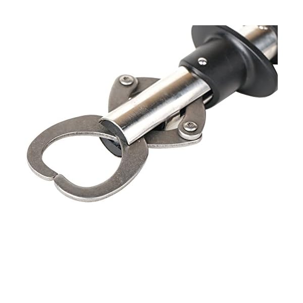 Entsport-Fish-Lip-Gripper-Fish-Scales-Professional-Fish-Holder-Stainless-Steel-Fish-Lip-Grabber-40-Pound-Fish-Lip-Grip-Tool-with-Weight-Scale