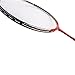 Senston - 2 Player Badminton Racket Set Double Rackets - Including 1 Badminton Bag/2 Rackets/2 Badminton /2 Grip