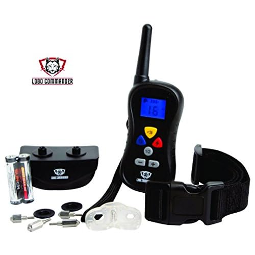 best cheap dog training collar