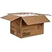 Dixie 12 oz. Paper Hot Coffee Cup by GP PRO (Georgia-Pacific), Pathways, 2342WS, 500 Count (25 Cups Per Sleeve, 20 Sleeves Per Case), Whimsy