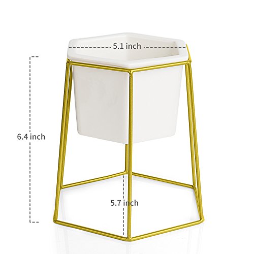 Greenaholics Succulent Pots - 4.9 inch Hexagon Ceramic Planters with Golden Iron Frame, Pots for Succulent, Cactus, White