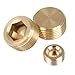 QLOUNI 25Pcs Brass Pipe Plugs Set, NPT Plug 1/8