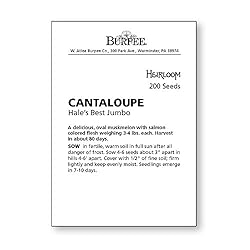 Burpee Hale's Best Jumbo Cantaloupe Melon Seeds 200