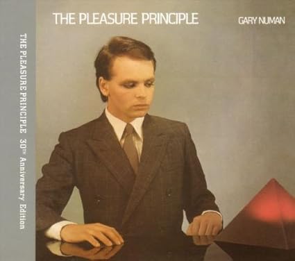 PLEASURE PRINCIPLE