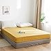 mixinni Modern Style Super Soft Gold Fitted Sheet Solid Color Bed Sheet 15