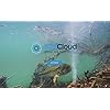 BaitCloud-Fish-Attractant-Tube-of-3