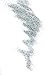 Moonlit Silver Biodegradable Glitter 1 Ounce - Made from Plant Cellulose, Earth Friendly. Perfect for Crafts, DIY Projects, Even Body, Cosmetics. Can be Mixed with Adhesives, Paints, Gels, Oils