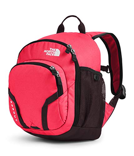 north face school backpack
