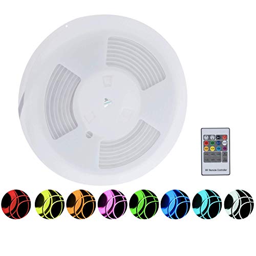 Shine Decor 12V RGB Neon Light, Real Silicone 16.4ft Rope Neon with Dimmable RF Controller, IP65 Waterproof Cuttable Strip Lights,for Indoor Outdoor Decoration DIY Signboard