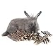 William Craft Apple Sticks Pet Chew Toy Treats for Chinchilla Guinea Pigs Rabbits Squirrel Hamster Bunny