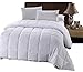 Royal Hotel Bedding White Down Alternative King Comforter with Corner Tabs - Hypoallergenic All-Season Plush Hotel Style Comforter, Duvet Insert Oversized King 110x98