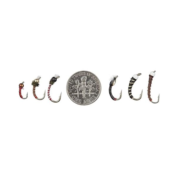 Montana-Fly-Company-Stillwater-Chironomid-12-Pack