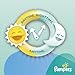 Pampers Easy Ups Training Pants Pull On Disposable Diapers for Boys