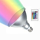 RAYWAY Par38 LED RGB Spotlight Bulb Outdoor, 20W Waterproof Dimmable Color Changing LED Lawn Lamp E26 Floodlight with Remote for Holiday Party Courtyard Decor