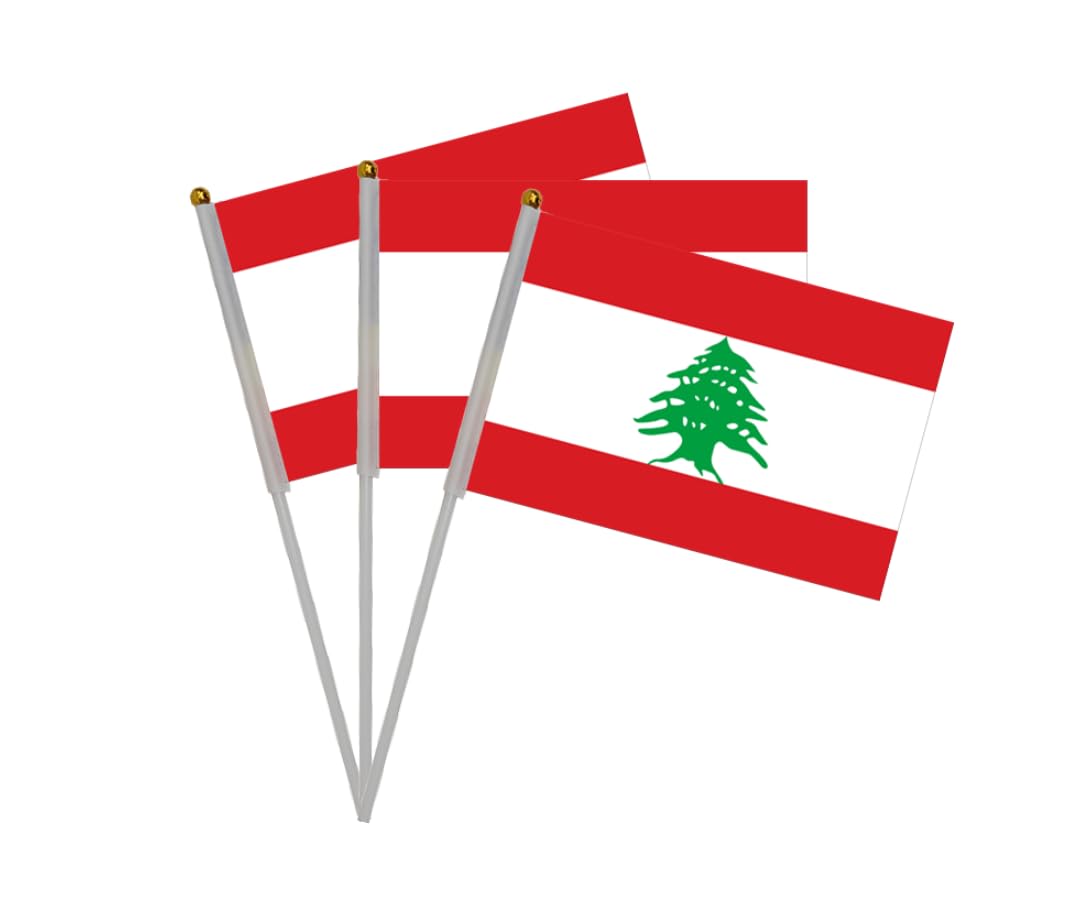 Pandiui23 20pcs Hand Crank Flags - Lebanon & Pakistan National Holiday Party Parade Sports Events Decoration - Red, 14cm x 21cm with 30cm Stick