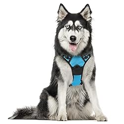 rabbitgoo Dog Harness, No-Pull Pet Harness with 2