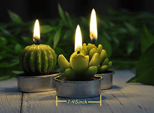 image for LA BELLEFÉE Cactus Tealight Candles, Decorative Delicate Succulent Ha