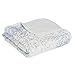 aden + anais silky soft stroller blanket; metallic blue moon birch