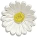 Wilton Edible Decorating Icing Daisies