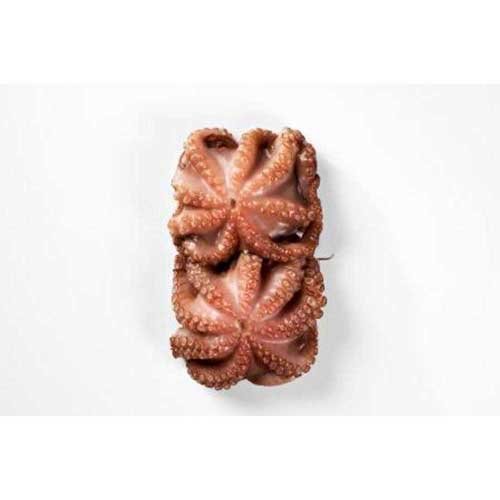 Pana Pesca Octopus Whole Cleaned Skin Pack, 17.6 Ounce -- 8 per case.