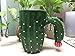 Novelty Ceramic Cactus Mugs Funny Coffee Mug Handmade 14 OZ