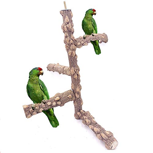 Borangs Bird Perch Natura Wood Stand Toy Branch for 3-4pcs Small Medium Parrots Cages Toy M