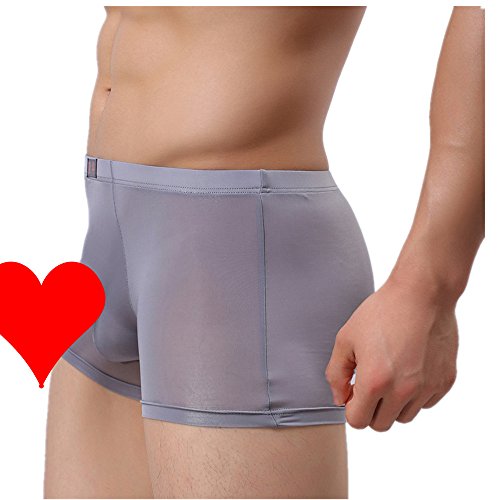 Clearance! ALT 2017 Men  s Underwear Sexy Temptation Separation Ice Silk Translucent JJ Sets (Large, Grey)