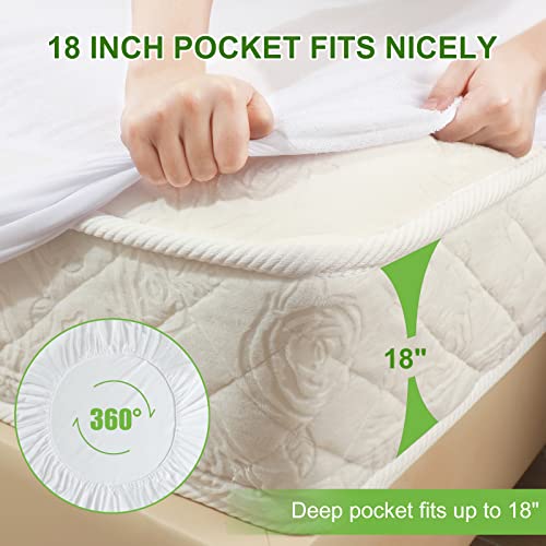 Waterproof Mattress Protector Queen Size, 100 Protective Bamboo Terry