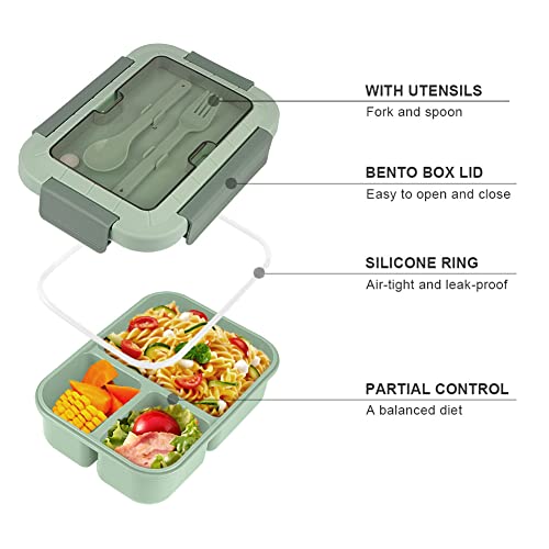 Bento Box, Bento Box for Adults, 49 OZ 3 Compartments Bento Lunch Box