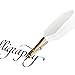 Calligraphy Set - White (CS-0200) with Real Feather and Stainless Steel Nib