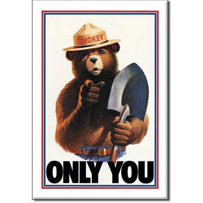 (2x3) Smokey the Bear Only You Can Prevent Forest Fires Retro Vintage Locker Refrigerator Magnet