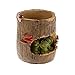 Tinksky Cute Green Frog Flower Sedum Succulent Pot Planter Bonsai Trough Box Plant Bed Office Desk Home Garden Pot Decor